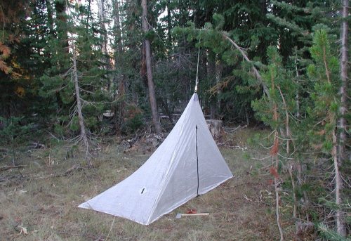 A green branch can be used instead of a tent pole sometimes.
