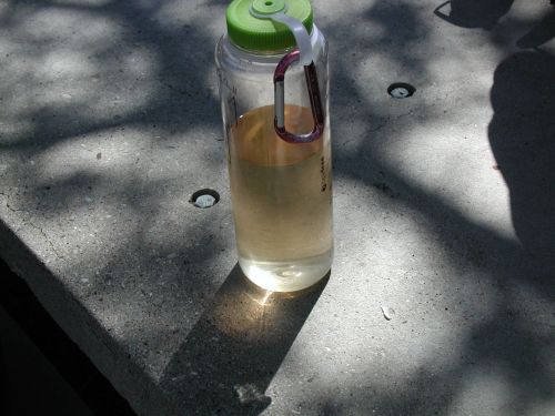 Water at put in was safe if not tasty.